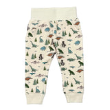 Boys Fleece Sweatpants in Dino Land