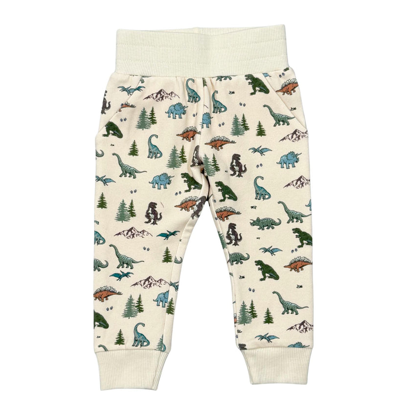 Boys Fleece Sweatpants in Dino Land