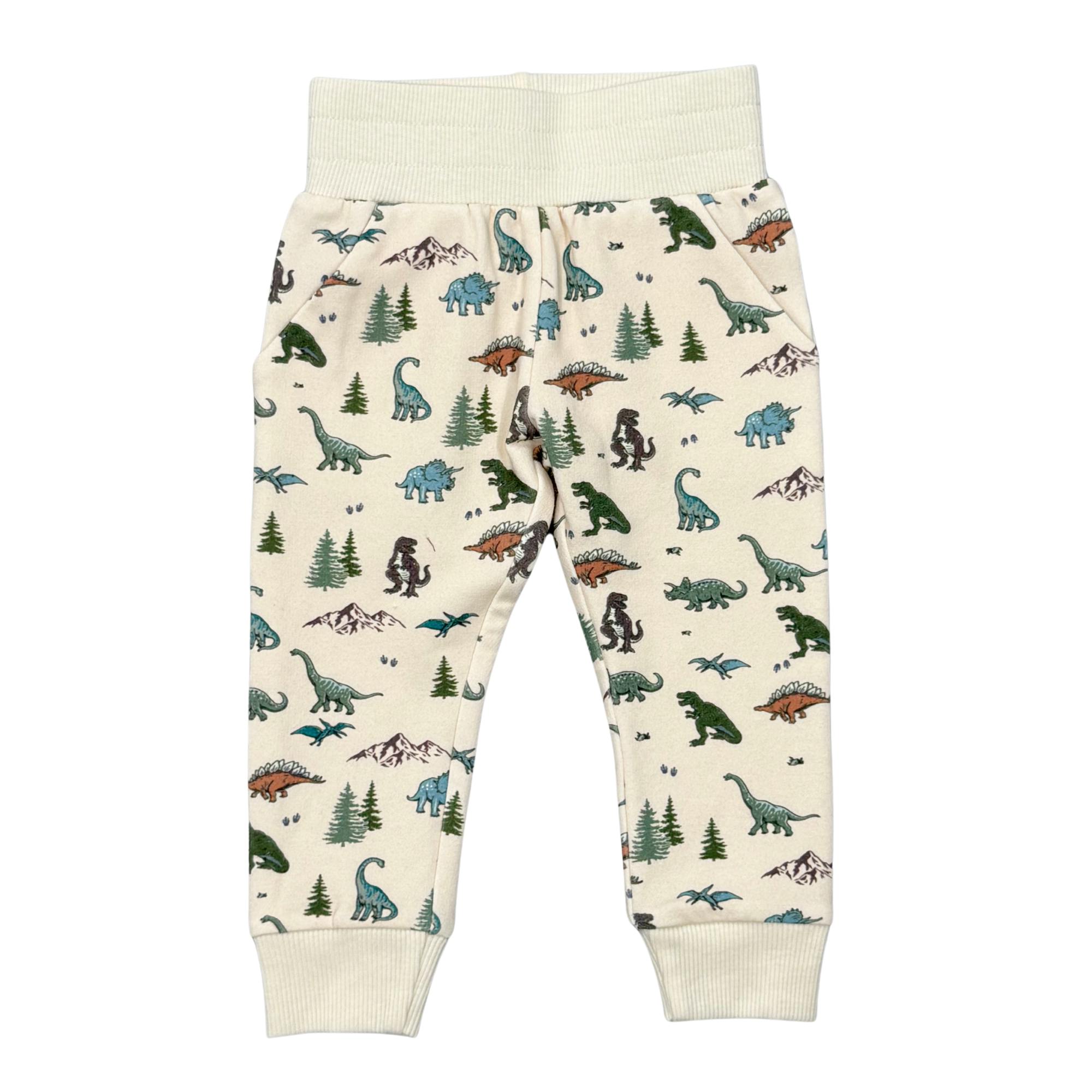 Boys Fleece Sweatpants in Dino Land