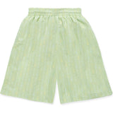 Board Shorts in Pistachio Wand