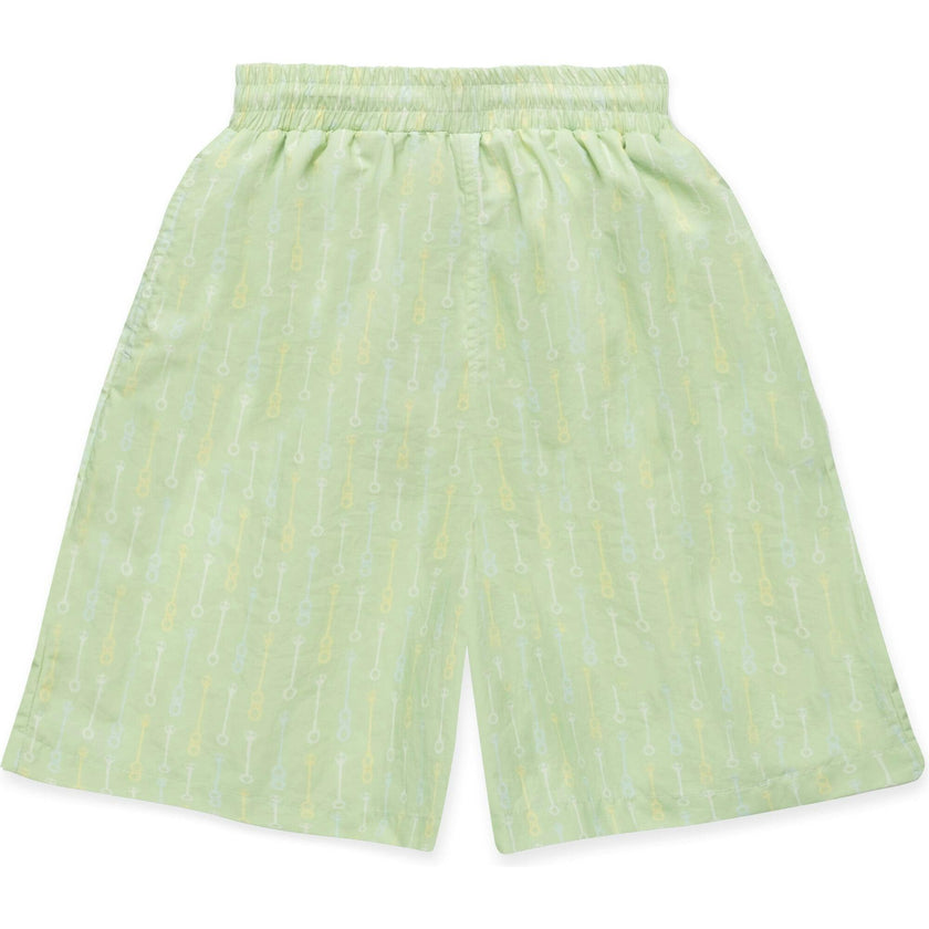 Board Shorts in Pistachio Wand