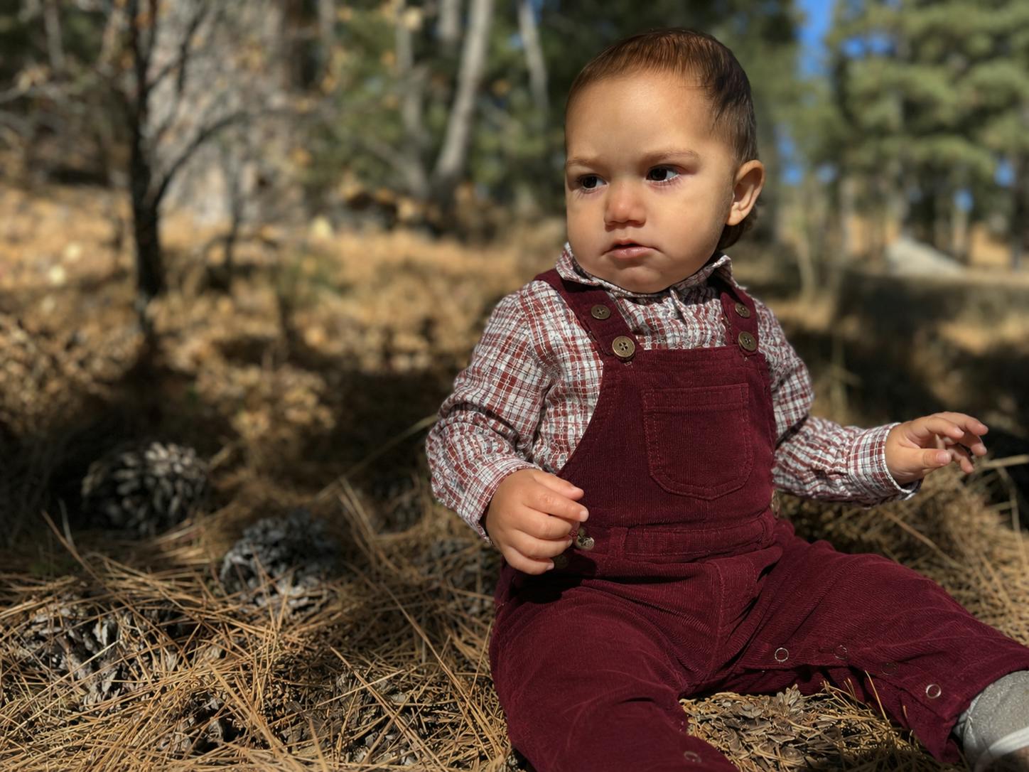 GENTRY Burgundy Moleskin Woven Overalls