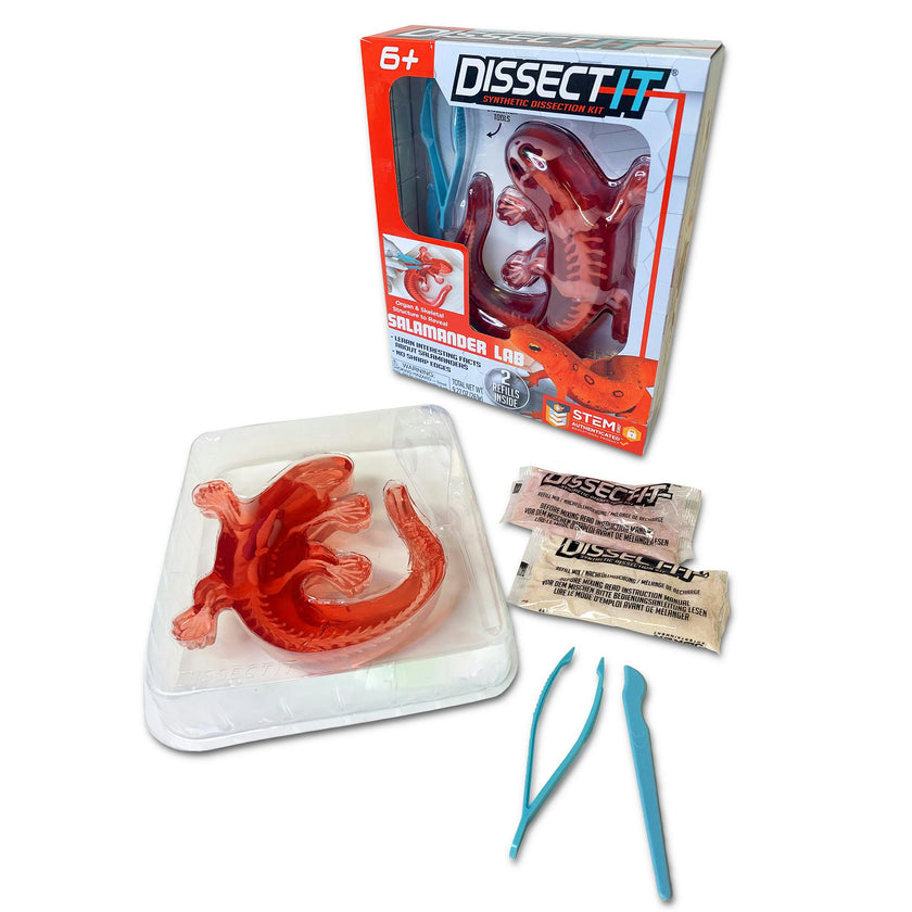Dissect-It: Salamander Lab