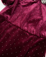 Elisa Velvet Mini Dress