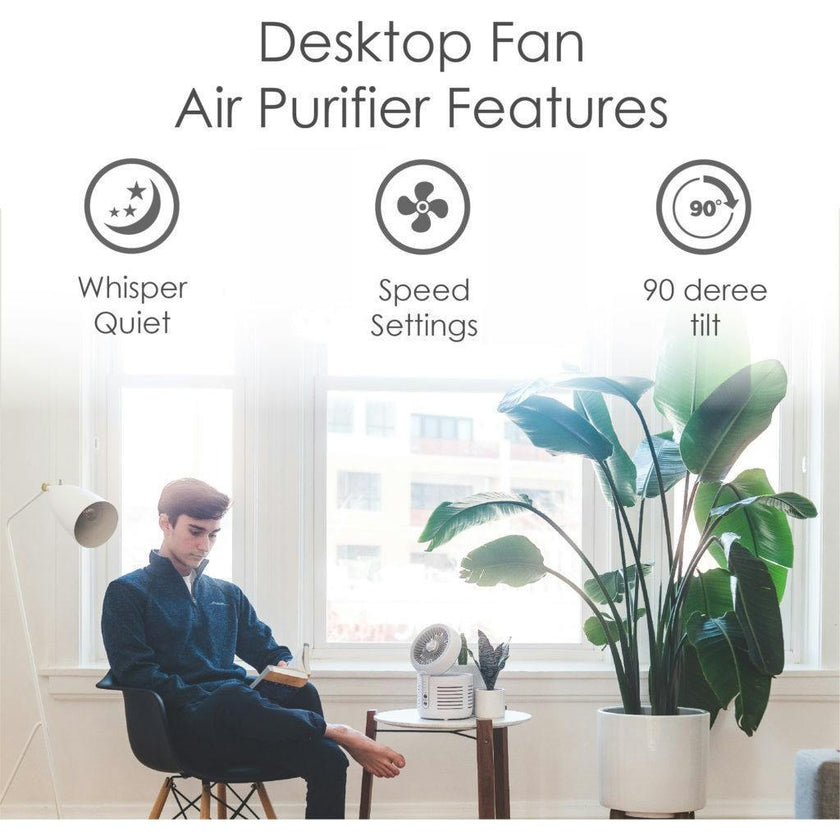 2-in-1 Air Purifier and Desk Fan