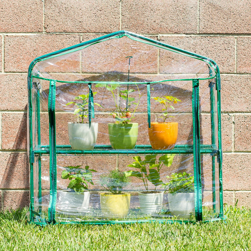 GreenThumb Classroom Greenhouse