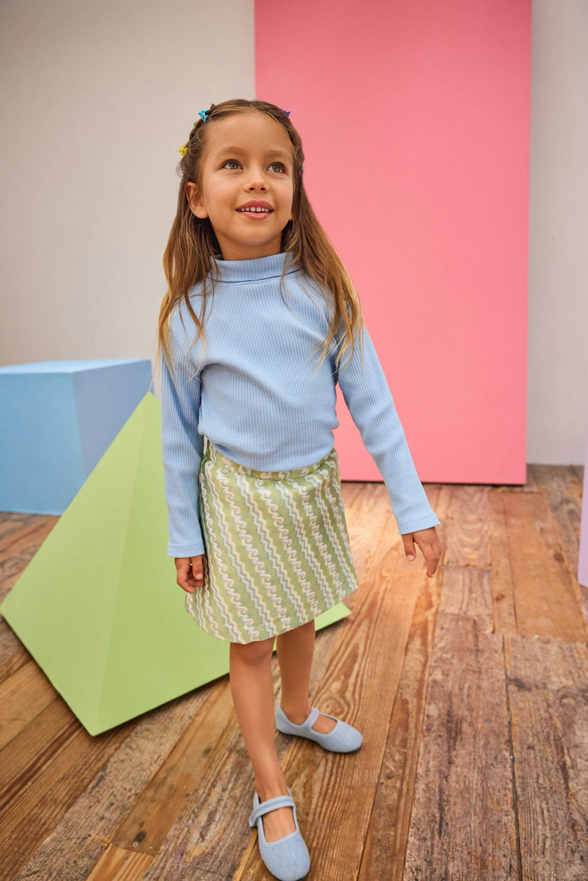 A-Line Mini Skirt