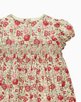 Baby Felicite Smocked Party Dress