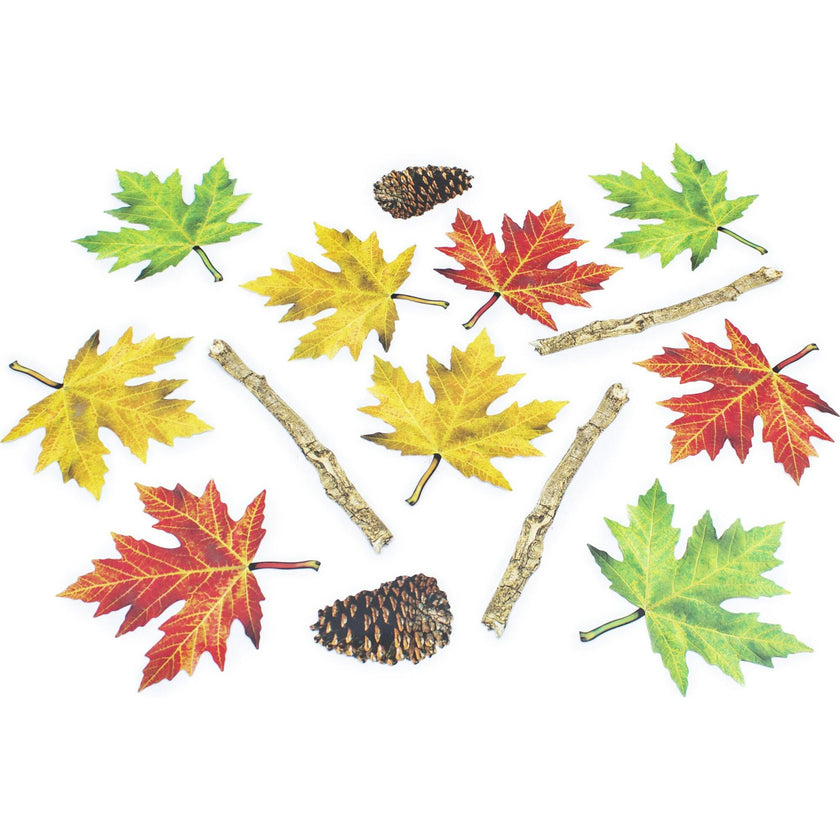 Nature Trail Educational Floor Stickers
