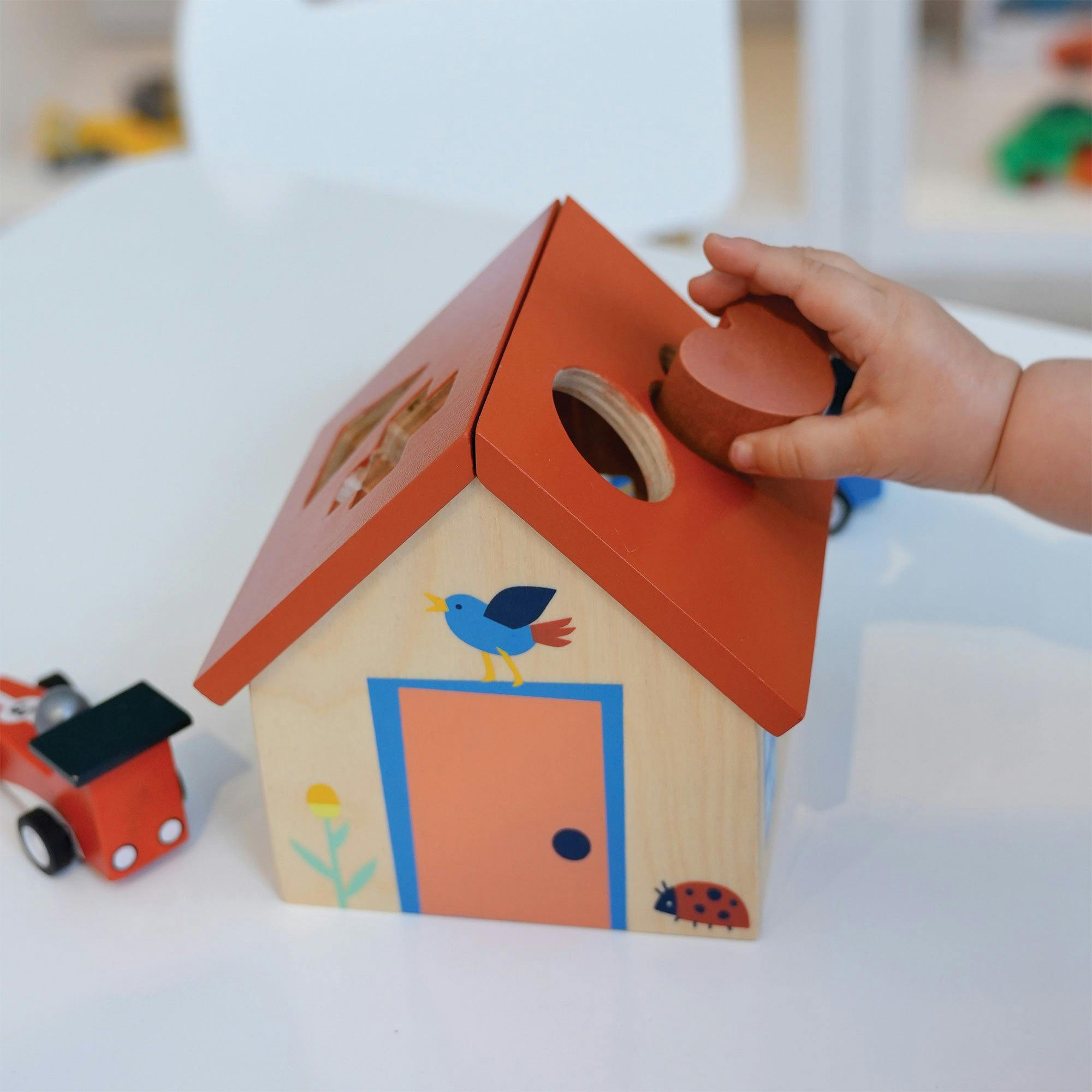 Shape Sorter House