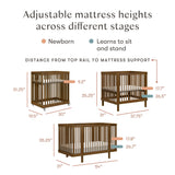 Babyletto Pogo 8-in-1 Convertible Crib with All-Stages® Conversion Kits