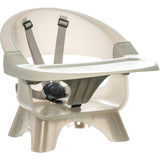 Terra 2-in-1 High Chair & Booster