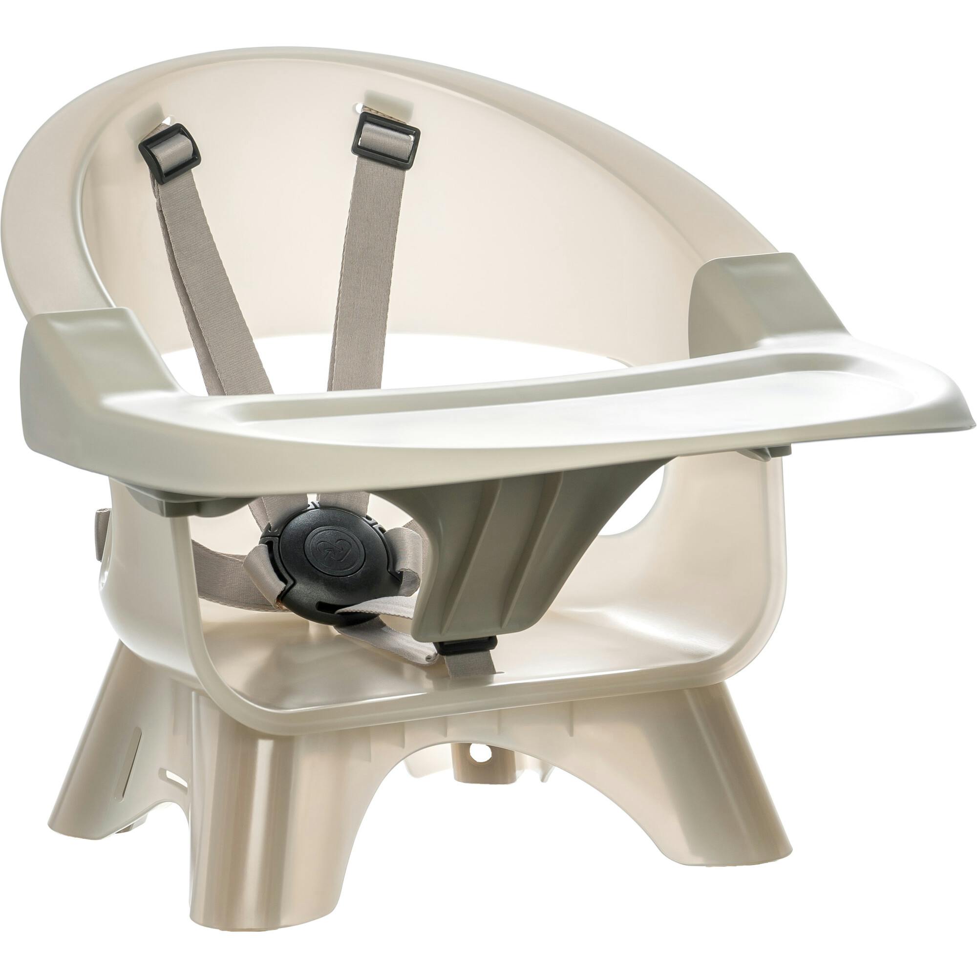 Terra 2-in-1 High Chair & Booster