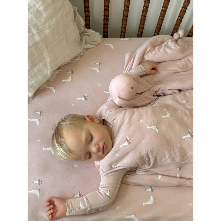 Crib Sheet