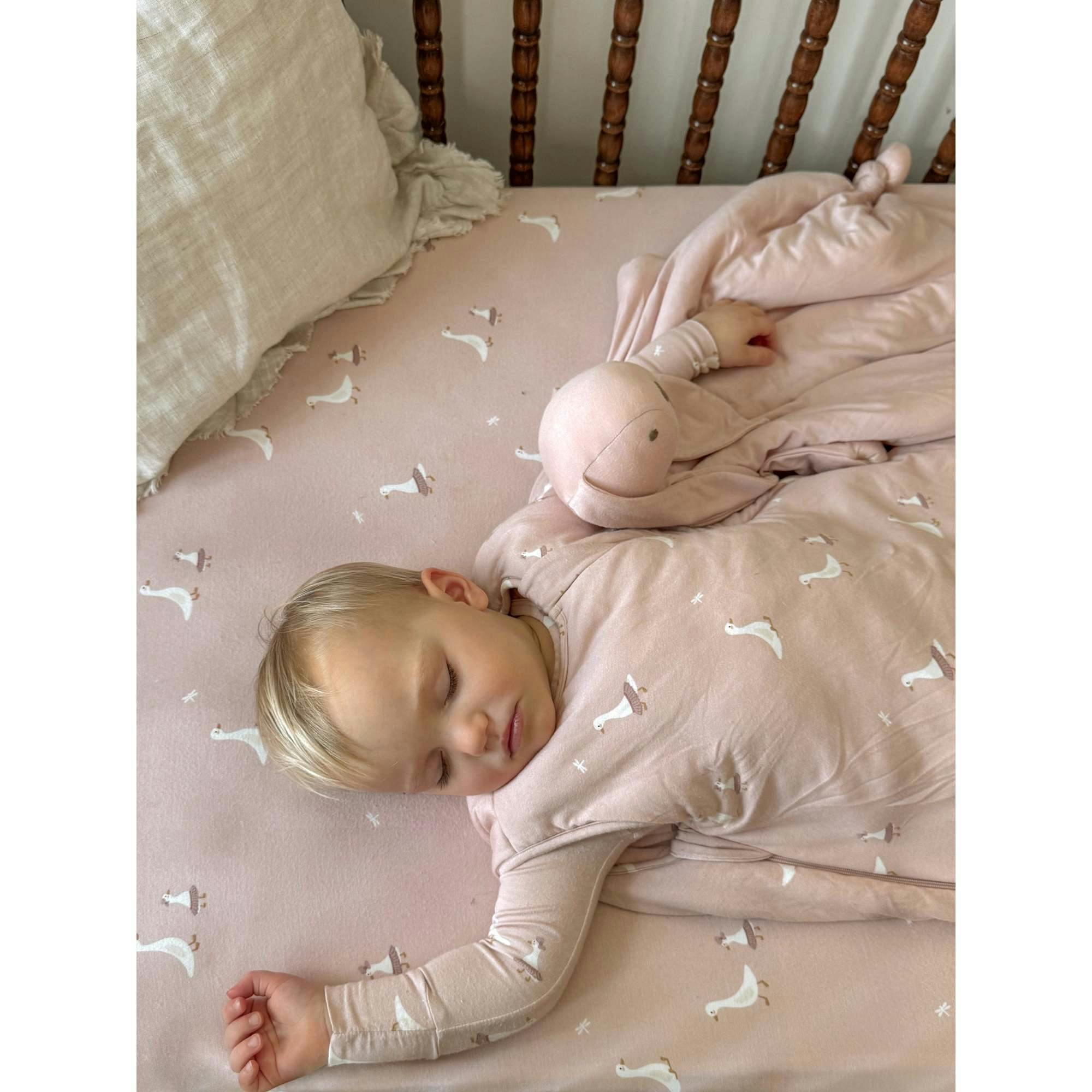 Crib Sheet