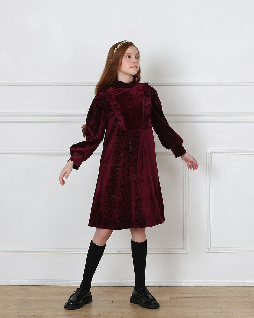 Lena dress (garnet velvet)