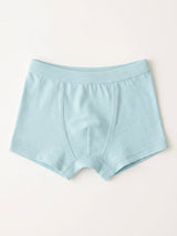 Boxer Brief