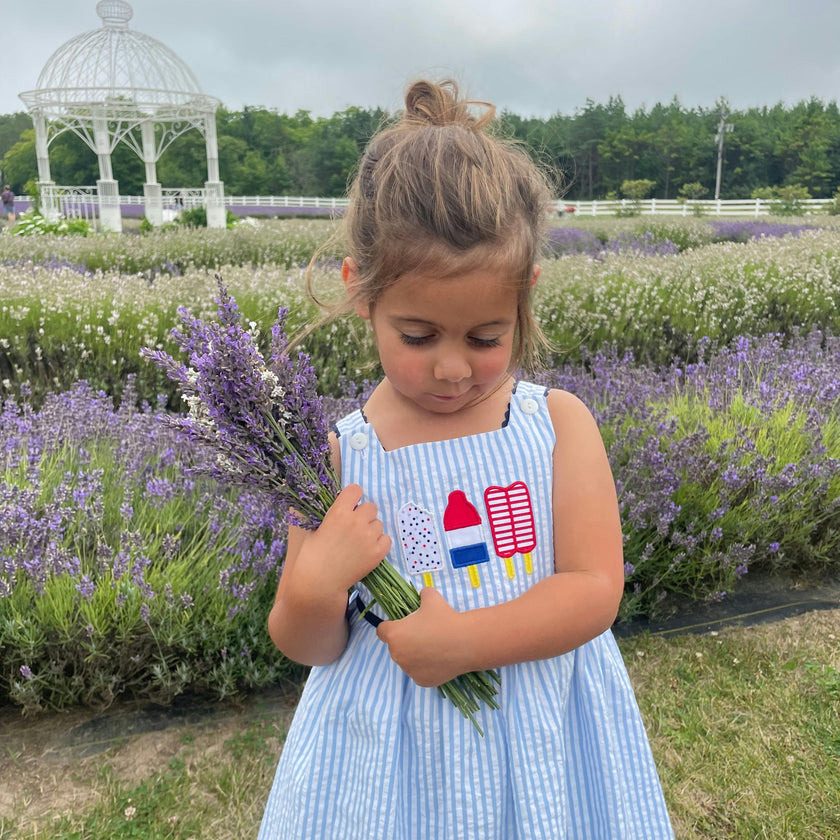 Seersucker Dress With Popsicles