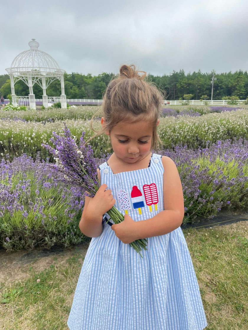 Seersucker Dress With Popsicles