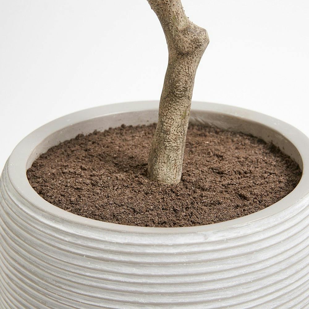 Artificial Olive Topiary Tree with Mediterranean Pot
