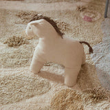 Washable Rug Path