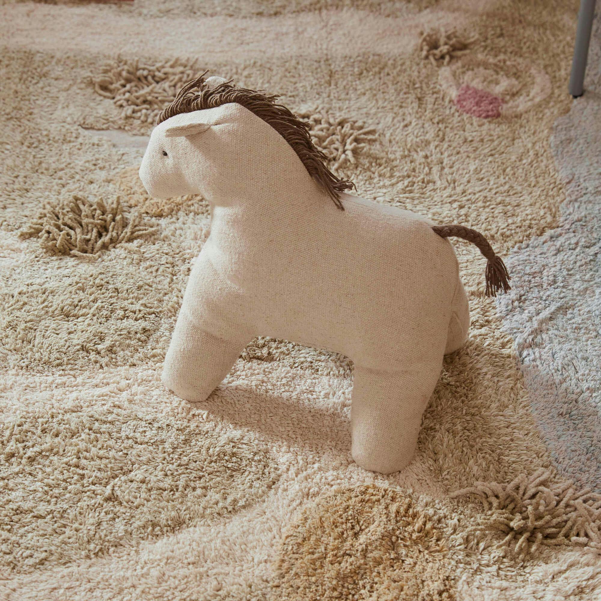 Washable Rug Path