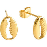 Cowrie Shell Studs