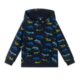 Kids (2-4) French Terry Hoodie & Jogger Set | Dino Adventure