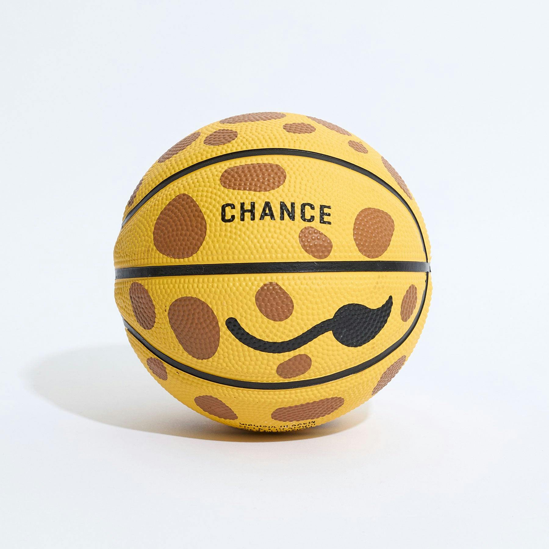 Geoff Mini Basketball (17