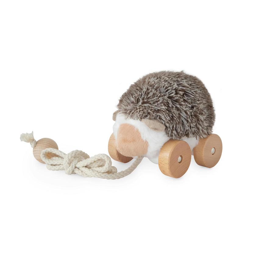 Hedgie