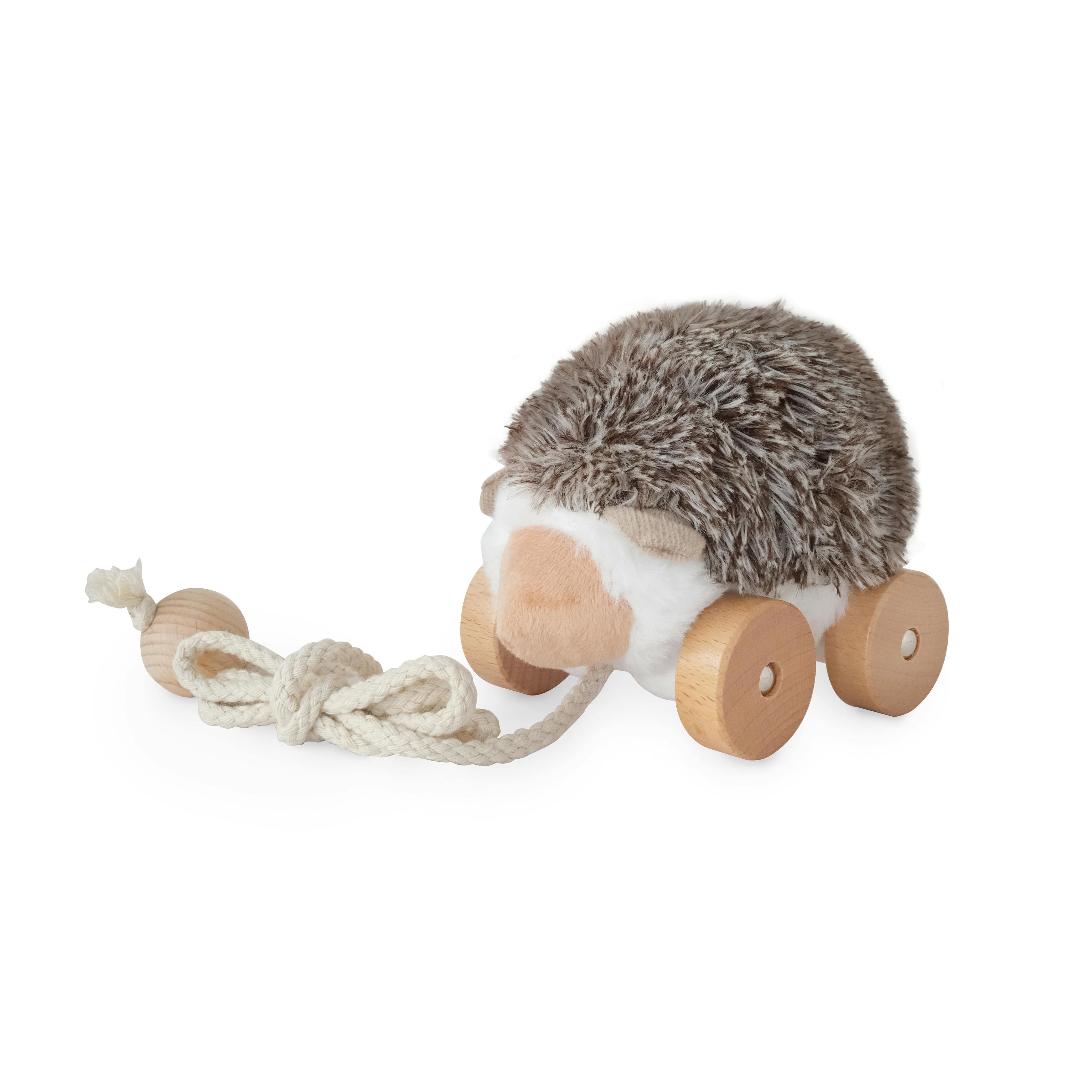 Hedgie