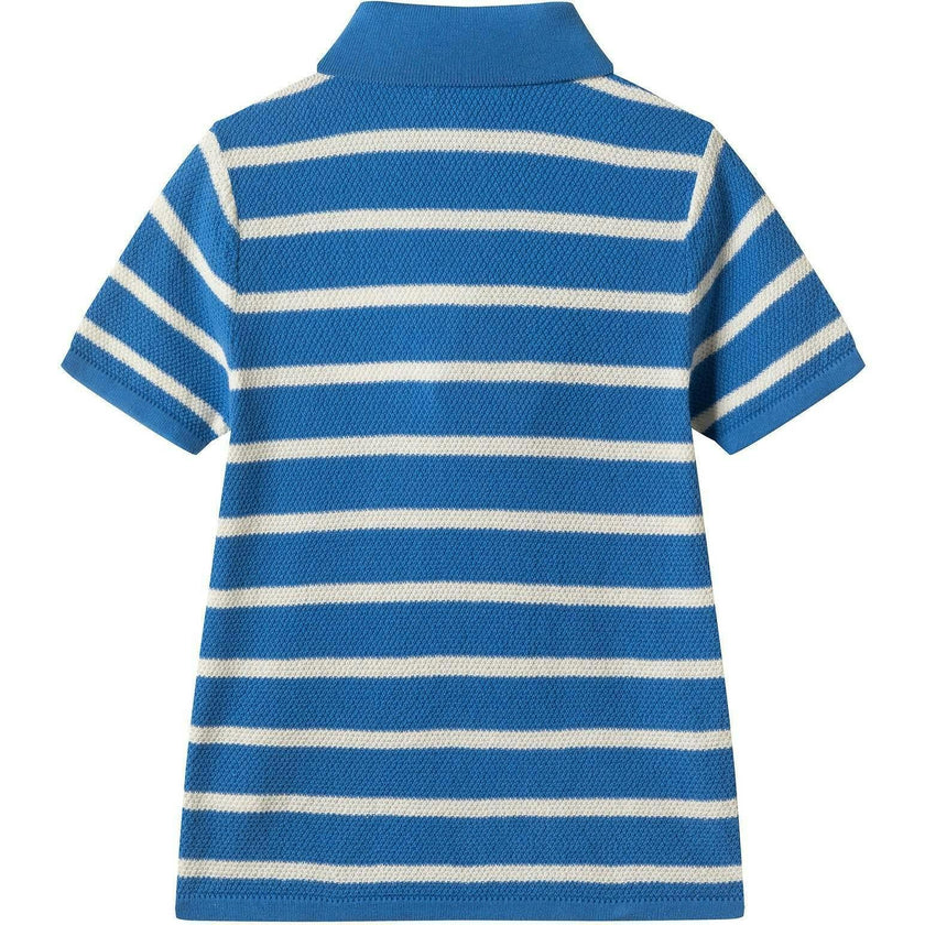 Boys Short Sleeve Polo Knit | Blue Stripe