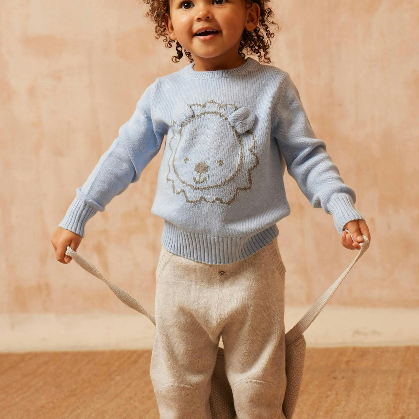 Baby Lion Jumper | Sky