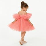 Blush Feather Fairy Tulle Flower Girl Dress