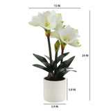 24" White Amaryllis Arrangement in Pot