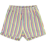 Fun Stripe Mini Swim Trunk