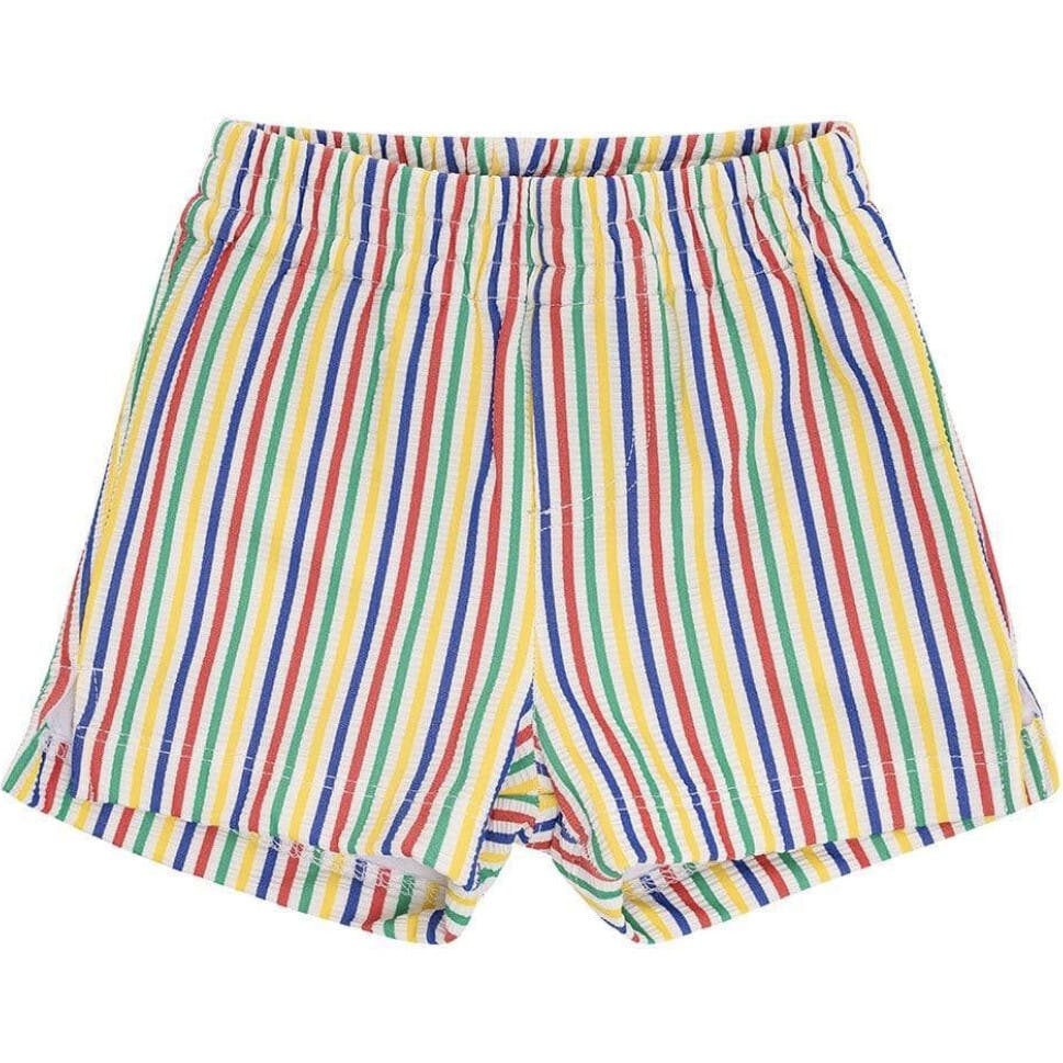 Fun Stripe Mini Swim Trunk