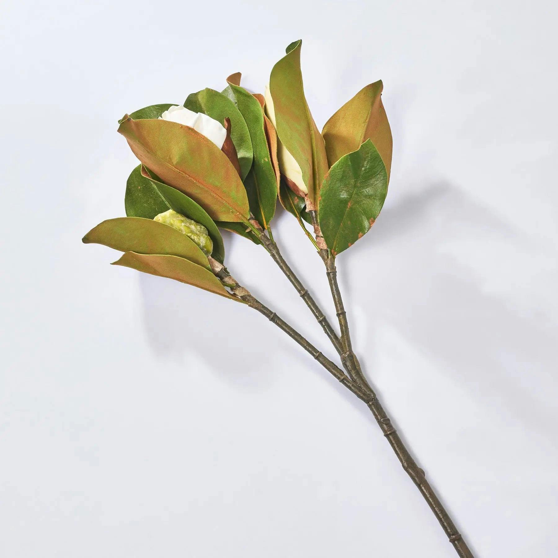 Real Touch Large Magnolia Bud Large Branch Stem 31