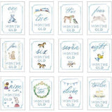 Monthly Milestone Card Set