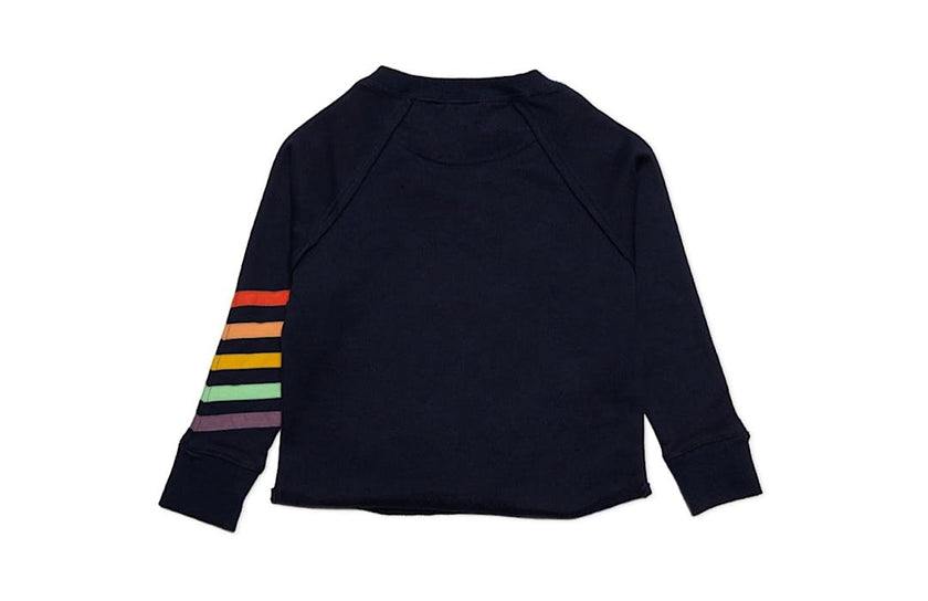 Navy Cropped Crew Neck With Rainbow Stripes