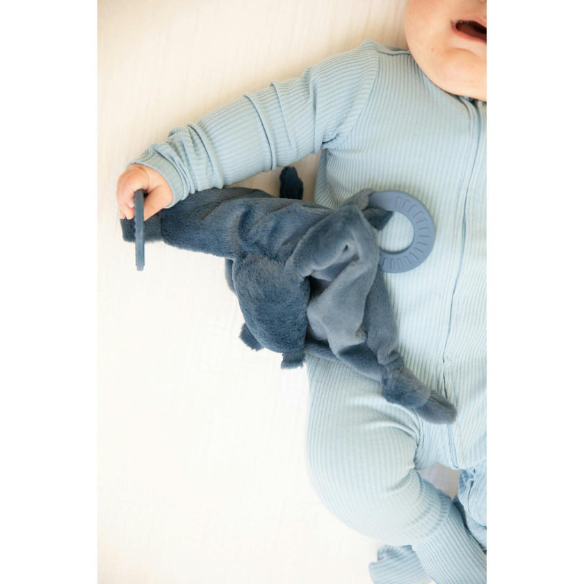 Teether Buddy