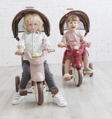 3-in-1 Folding Tricycle