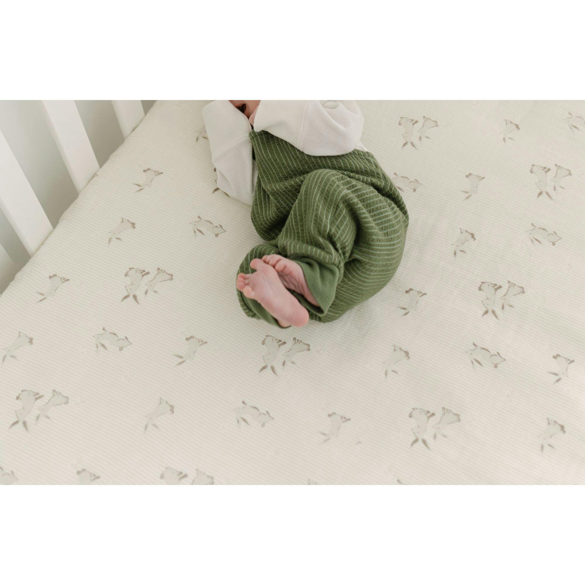 Avery Organic Cotton Fitted Crib Sheets