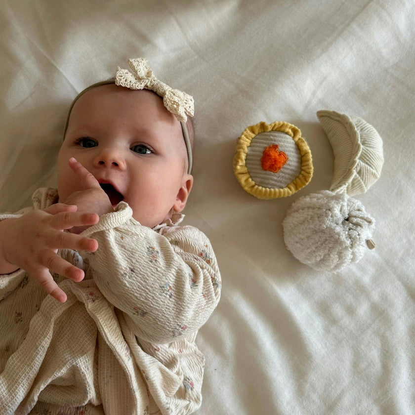 DIM SUM Rattle