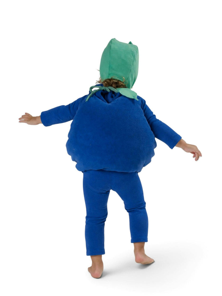 Baby Blueberry Halloween Costume