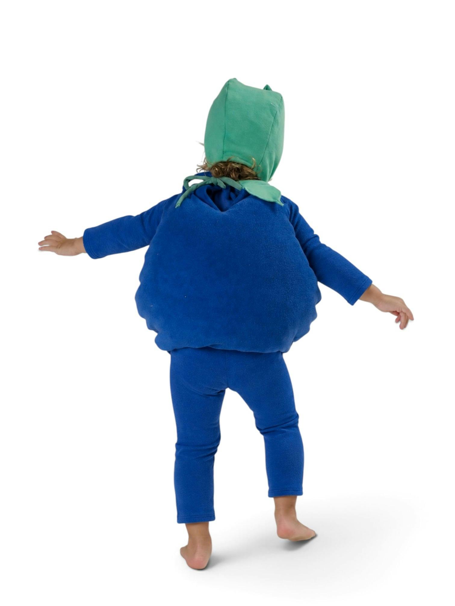 Baby Blueberry Halloween Costume
