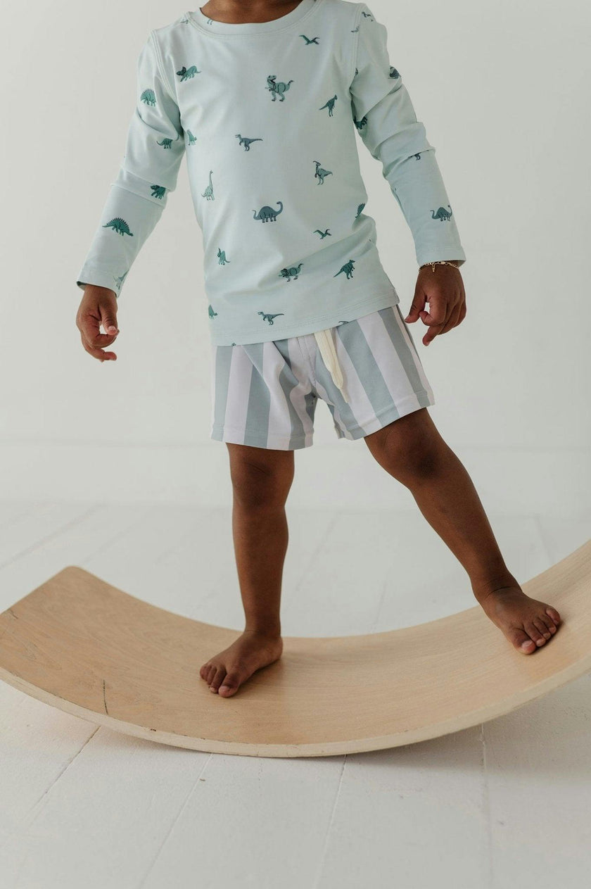 Boys Swim Shorts in Dinosaur