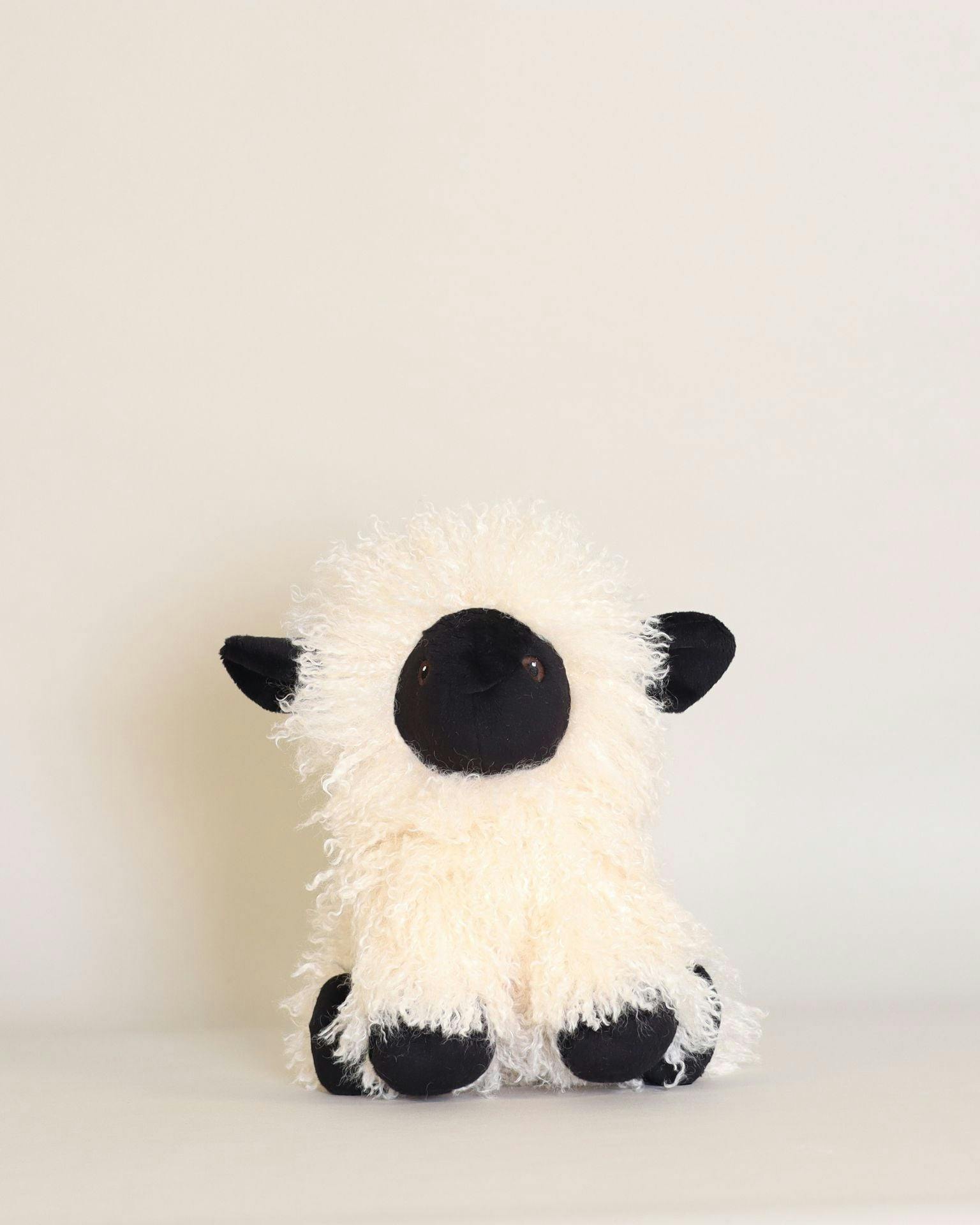 Melchior the Black-Nosed