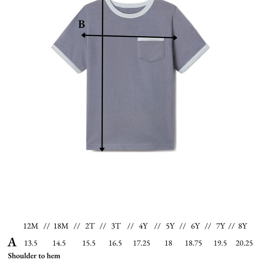 Jacob Ringer Tee in Flint Blue