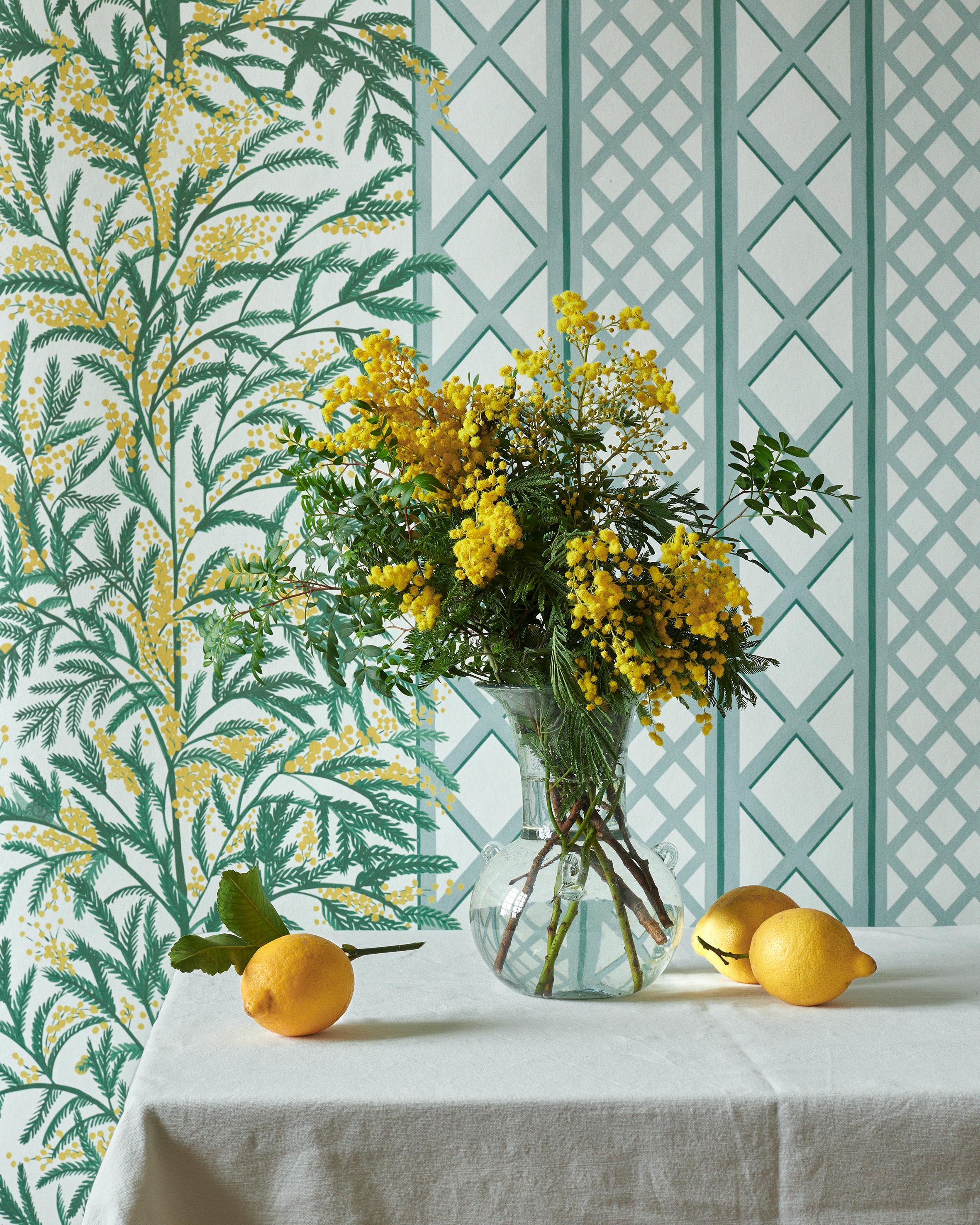 Papier peint MIMOSAS coloris Céladon